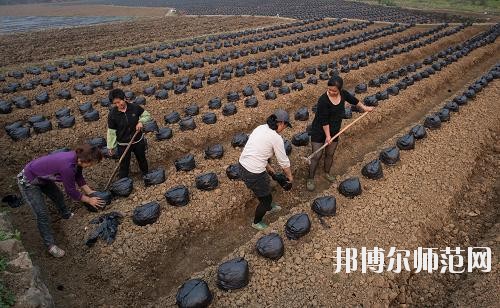 四川興文縣職業(yè)技術幼兒師范學校地址在哪里