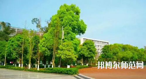 重慶市九龍坡幼師職業(yè)教育中心怎么樣、好不好。