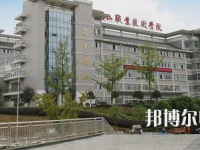 四川2021年小學教育學校理論包括什么