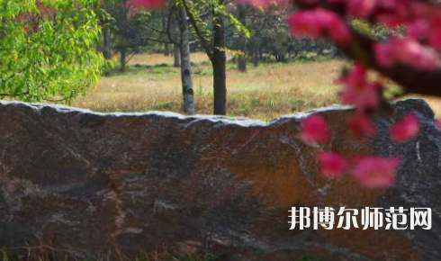 鄭州大學(xué)師范學(xué)院主校區(qū)2023年有哪些專業(yè)