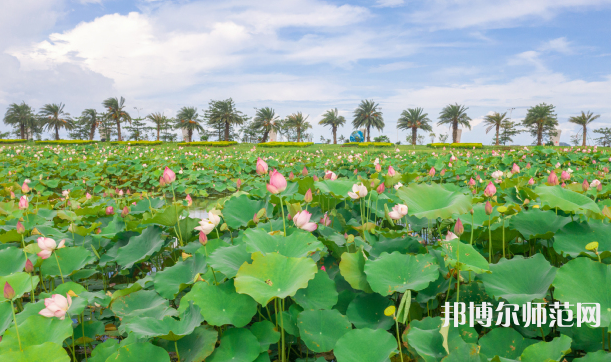 吉林大學珠海師范學院2023年招生代碼