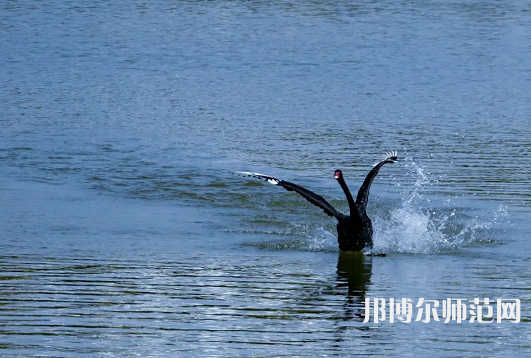 浙江師范大學2023年怎么樣、好不好