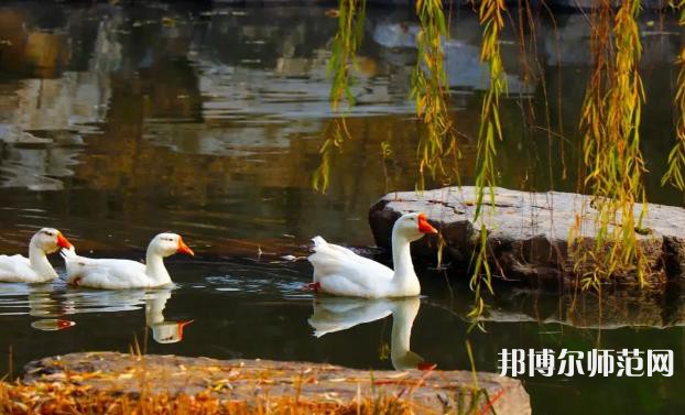 山東財經(jīng)師范大學萊蕪校區(qū)2023年報名條件、招生要求、招生對象 