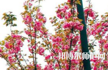 長(zhǎng)沙理工師范大學(xué)金盆嶺校區(qū)2023年招生計(jì)劃