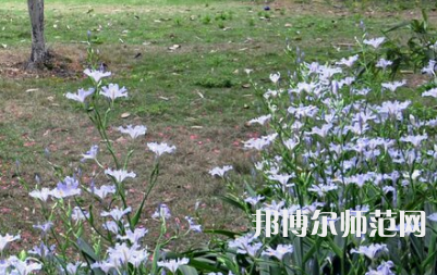 湖南第一師范學(xué)院城南書(shū)院校區(qū)2023年怎么樣、好不好