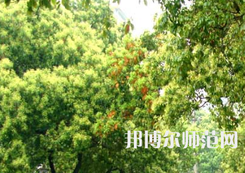 衡陽(yáng)師范學(xué)院南岳學(xué)院2023年怎么樣、好不好