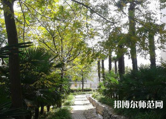 西北大學師范學院桃園校區(qū)2023年怎么樣、好不好